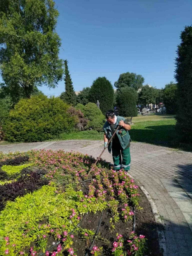 JKP &quot;Zelenilo&quot; - uređenje 1 cvetnih površina