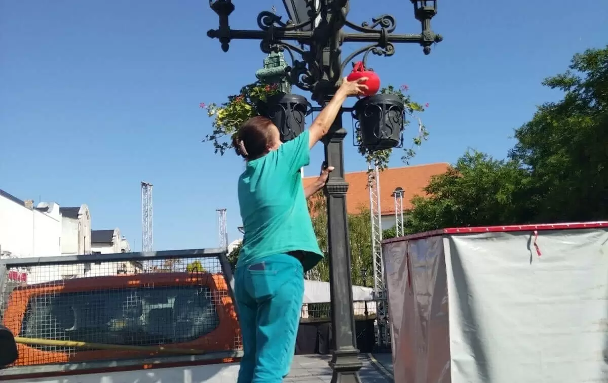 Sombor - zalivanje cveća