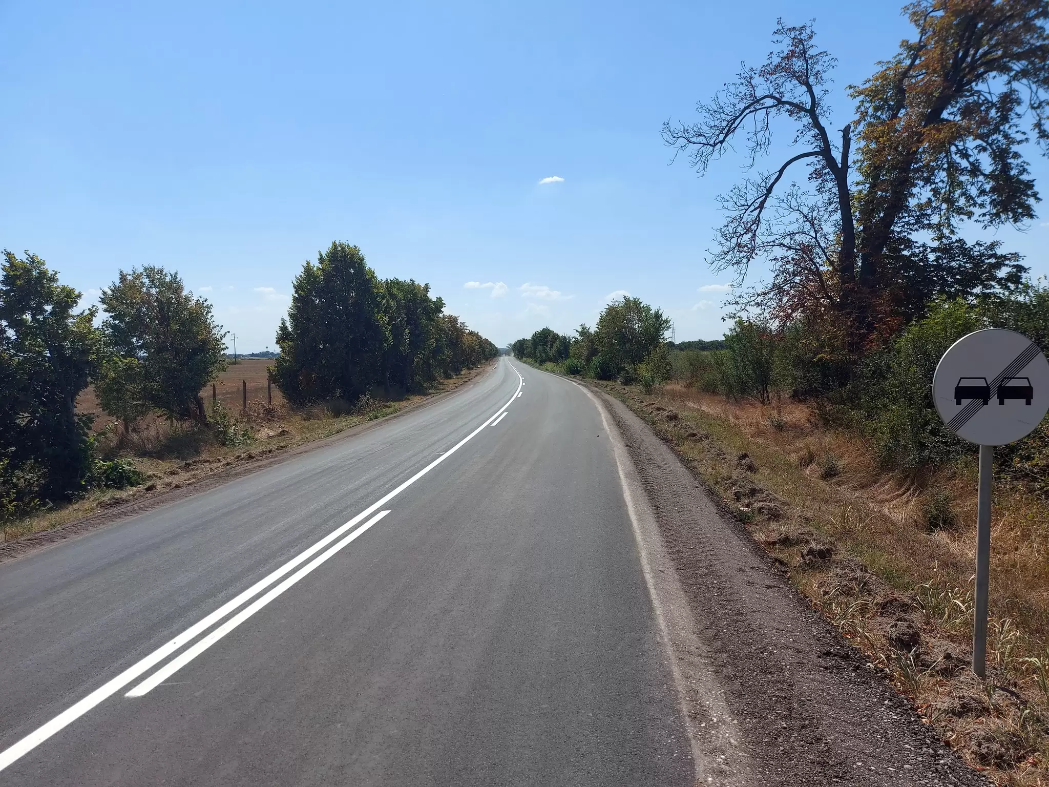 Apatin - radovi na putu 4