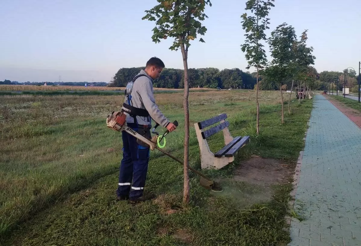 JKP Zelenilo - košenje