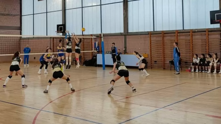 Odbojka - Voley stars