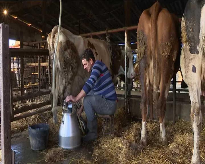 Sombor - Miro Petković