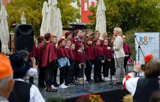 Stvaralaštvo seoskih žena Vojvodine 7