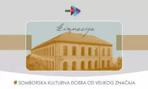 Ginnazija Veljko Petrović