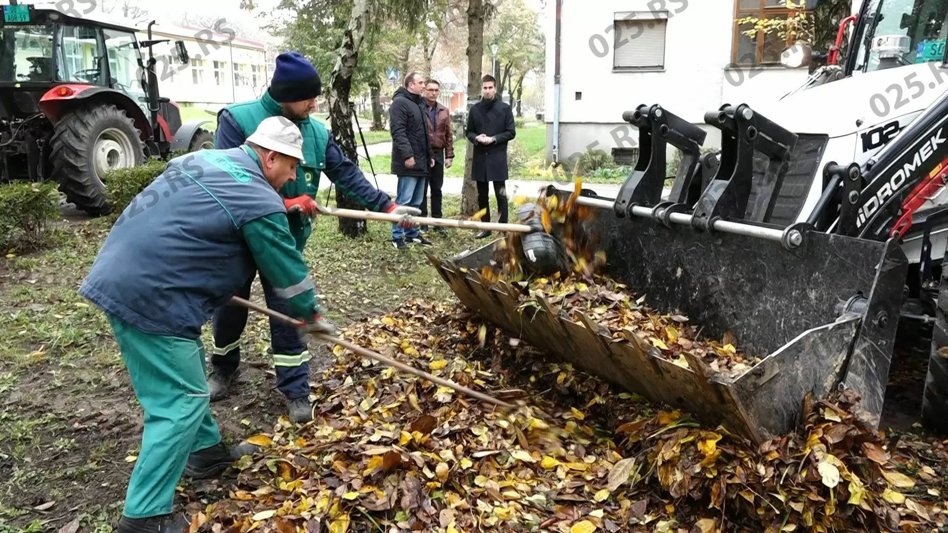 Sombor - Obilak radova na sakupljanju lišća