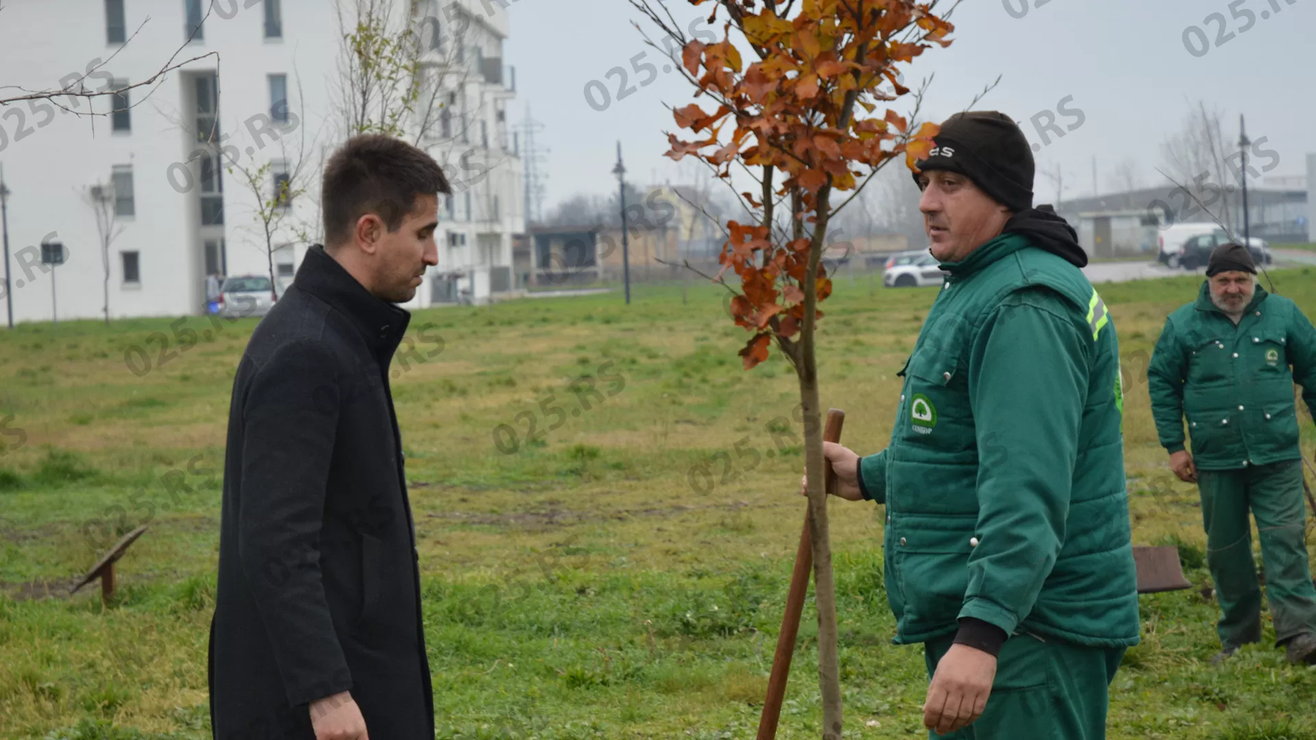 Gradski park - sadnja u Bloku 82 - gradonačelnik Antonio Ratković 1