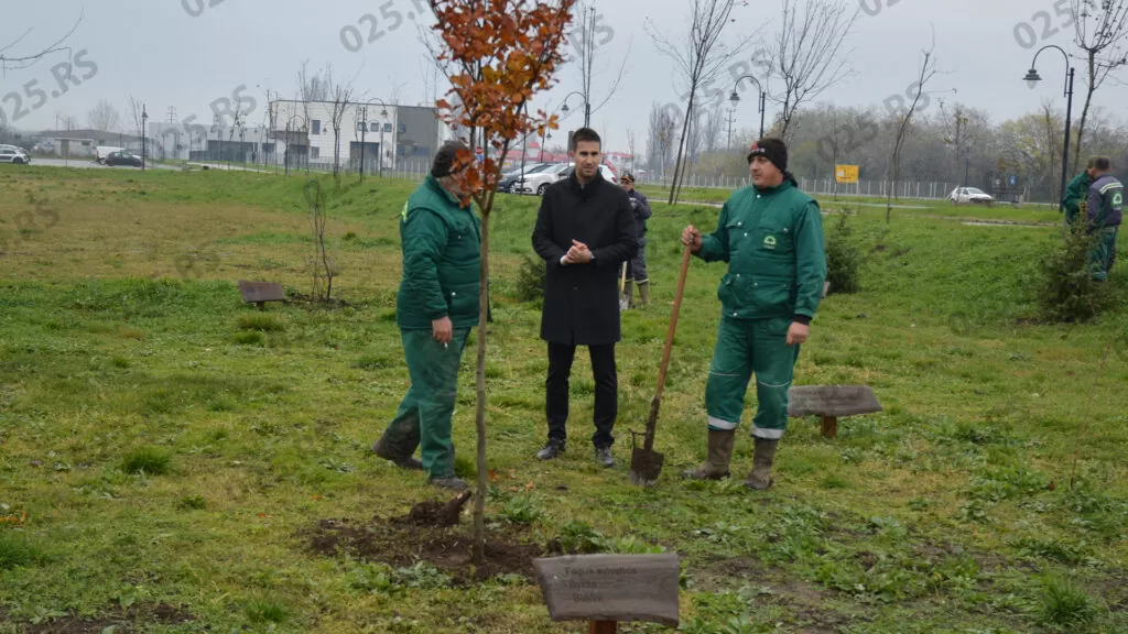 Gradski park - sadnja u Bloku 82