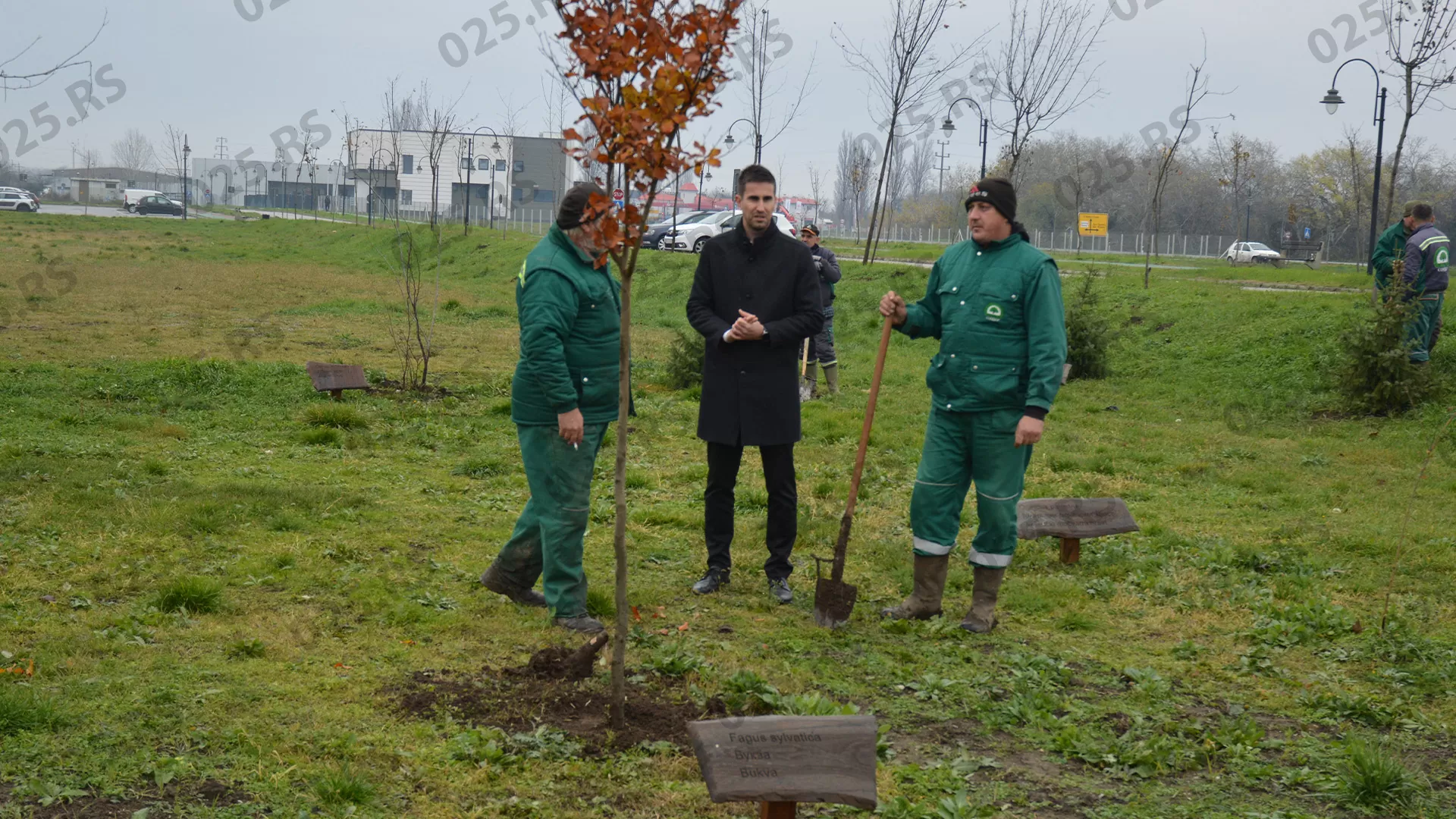 Gradski park - sadnja u Bloku 82