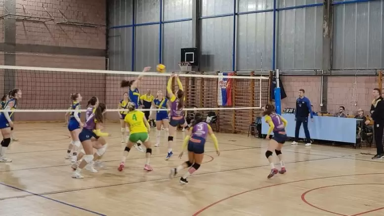 Odbojkašice Volleystars