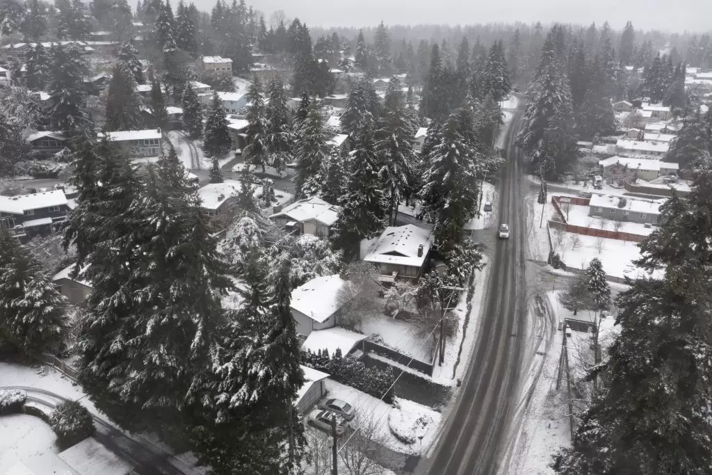 Zima