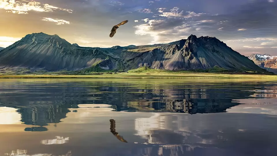Novi Zeland