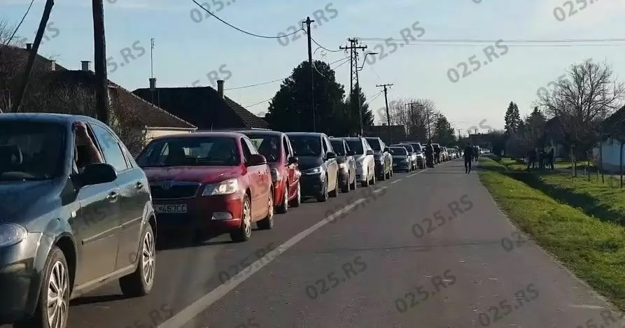 Bački Breg