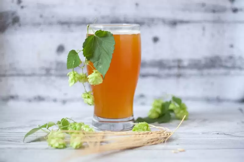 Pivo