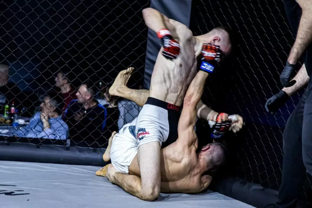 Održan 47. Međunarodni MMA spektakl u Somboru 2