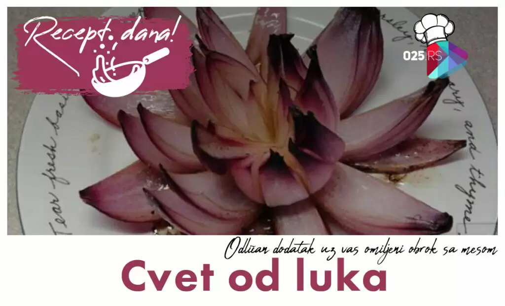 cvet od luka