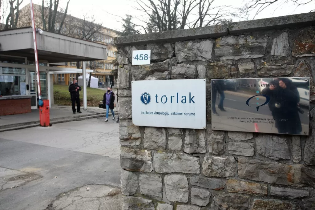 Torlak