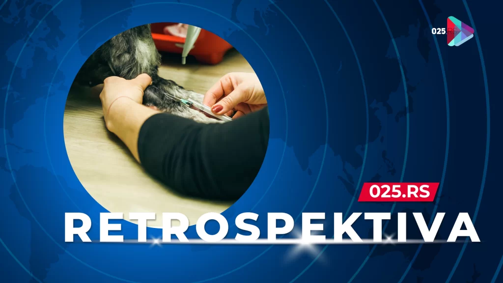 retrospektiva