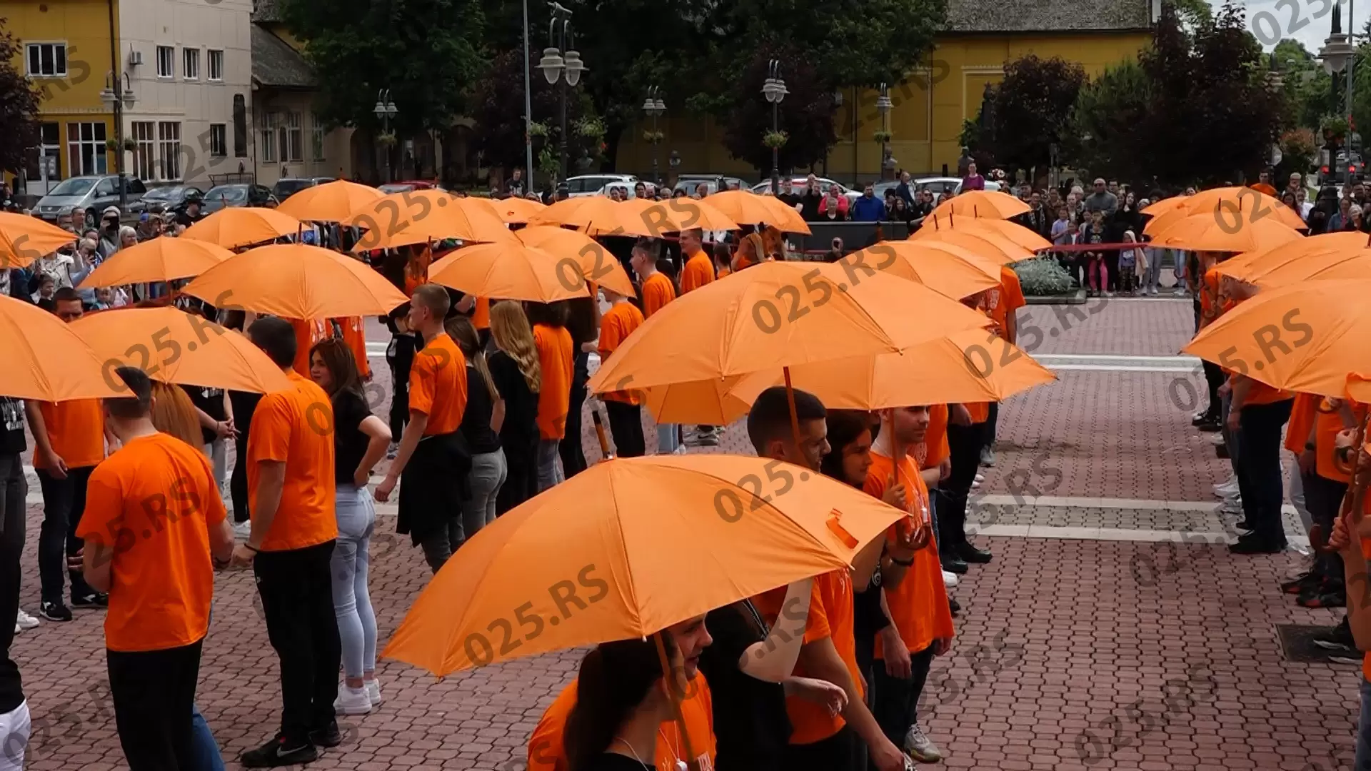 Apatin - ples maturanata5