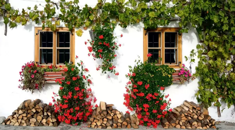 Cveće