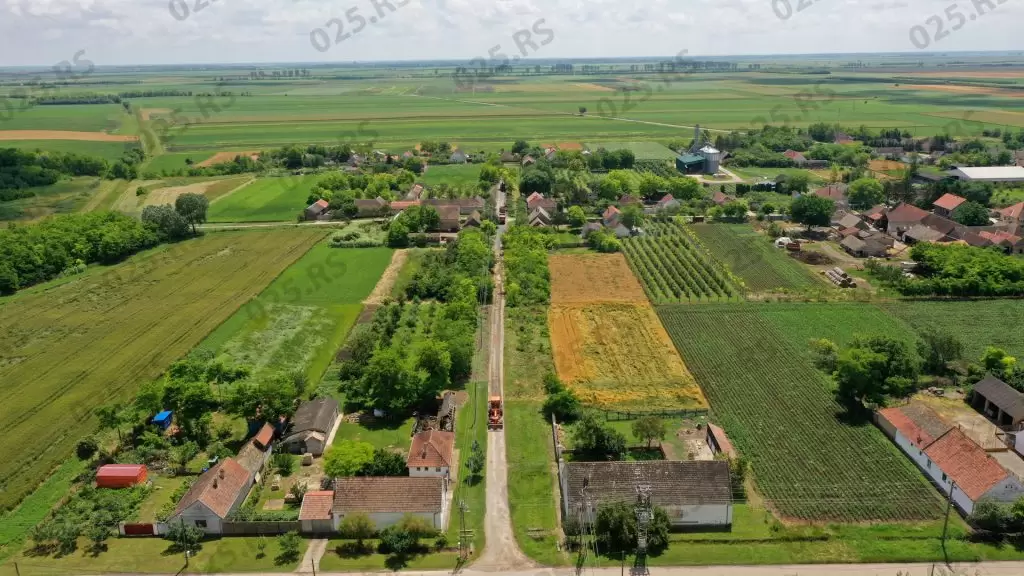 Rastina - uređenje