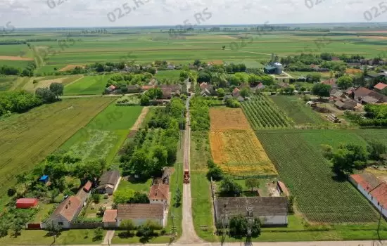Rastina - uređenje 
