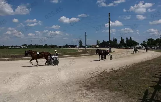 Trka za pehar grada Sombora 3