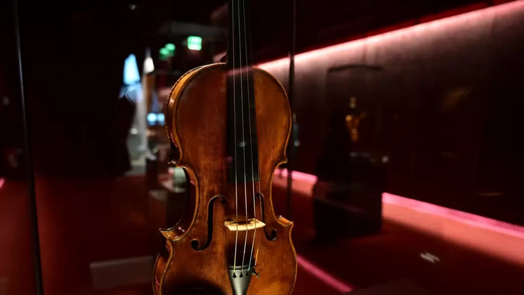 Violina