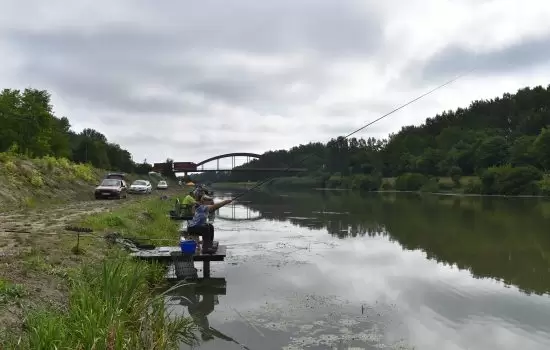 Održano takmičenje u ribolovu na stazi u Karavukovu