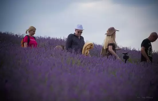 Kula - Lavanda džez 5