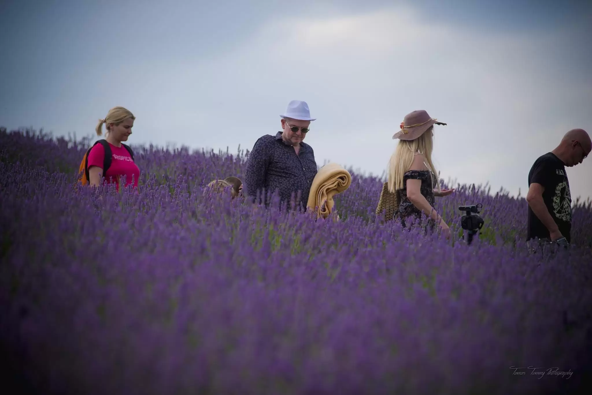 Kula - Lavanda džez 5