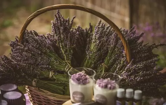 Kula - Lavanda džez 2