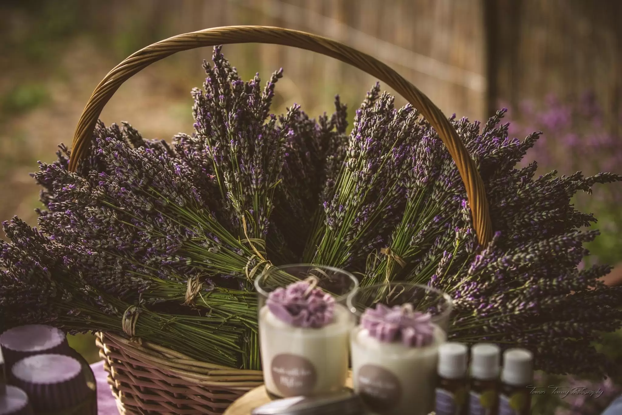 Kula - Lavanda džez 2