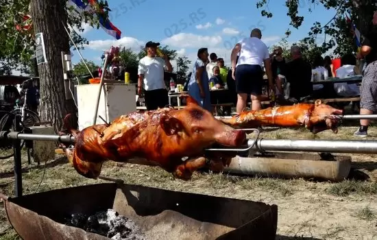 Održana treća po redu manifestacija „Miletić koji volim“ 5
