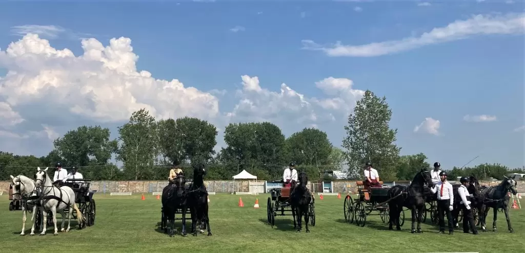 Fijakerijada u Staparu