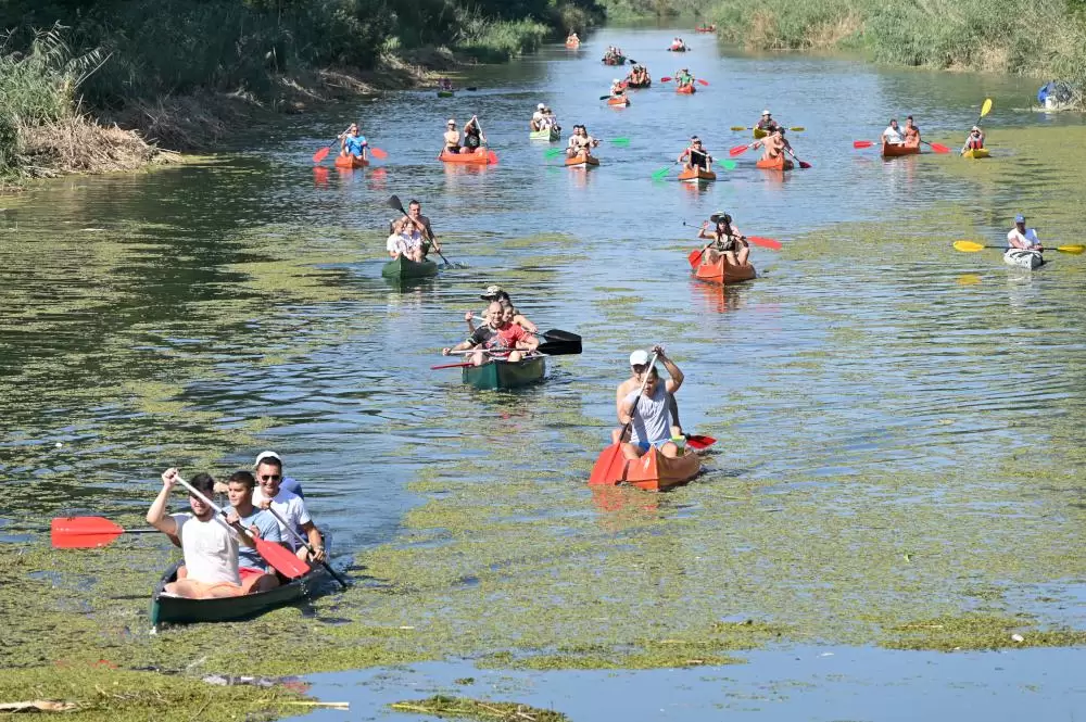 Kanu regata