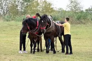 Štraparijada