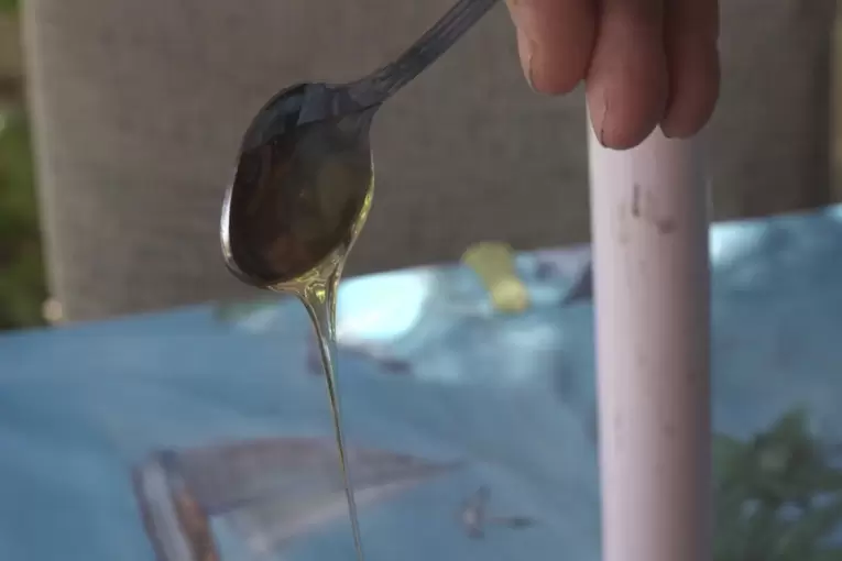 Med