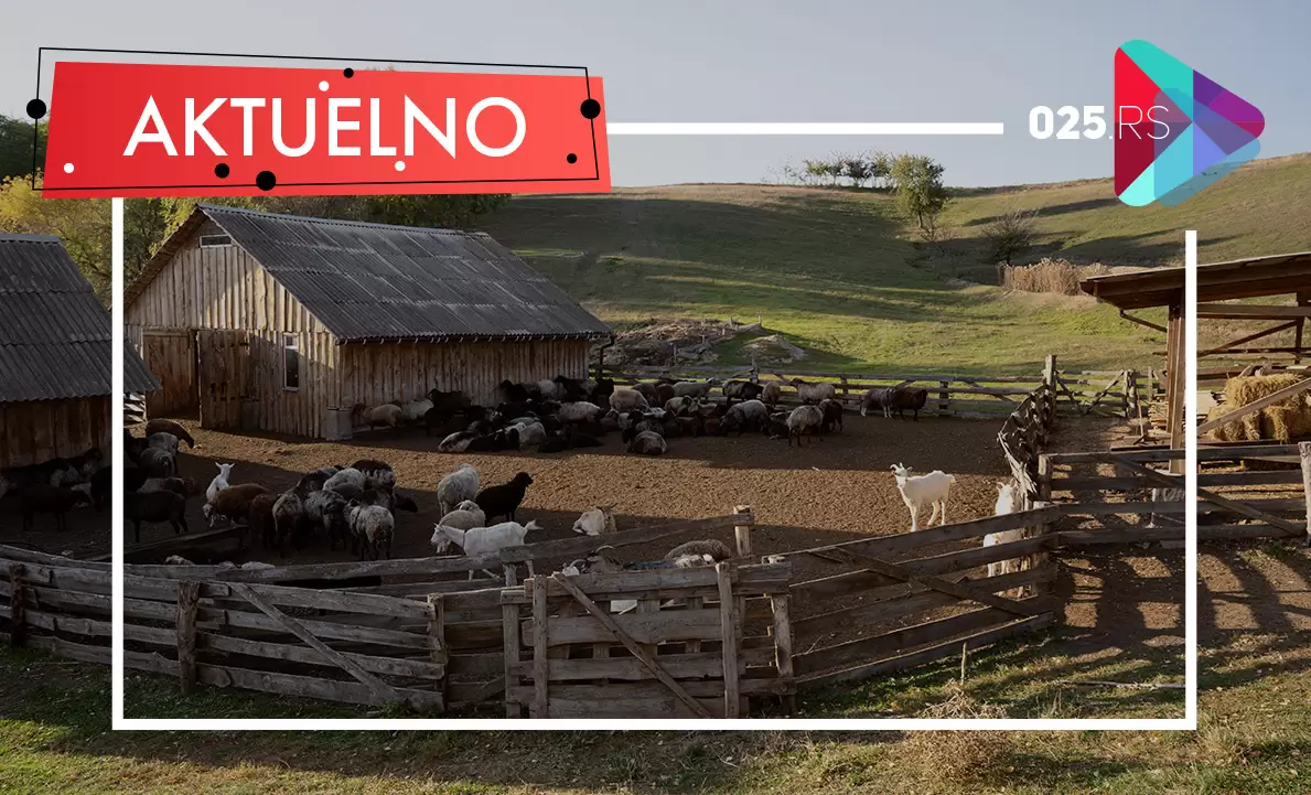 Aktuelno
