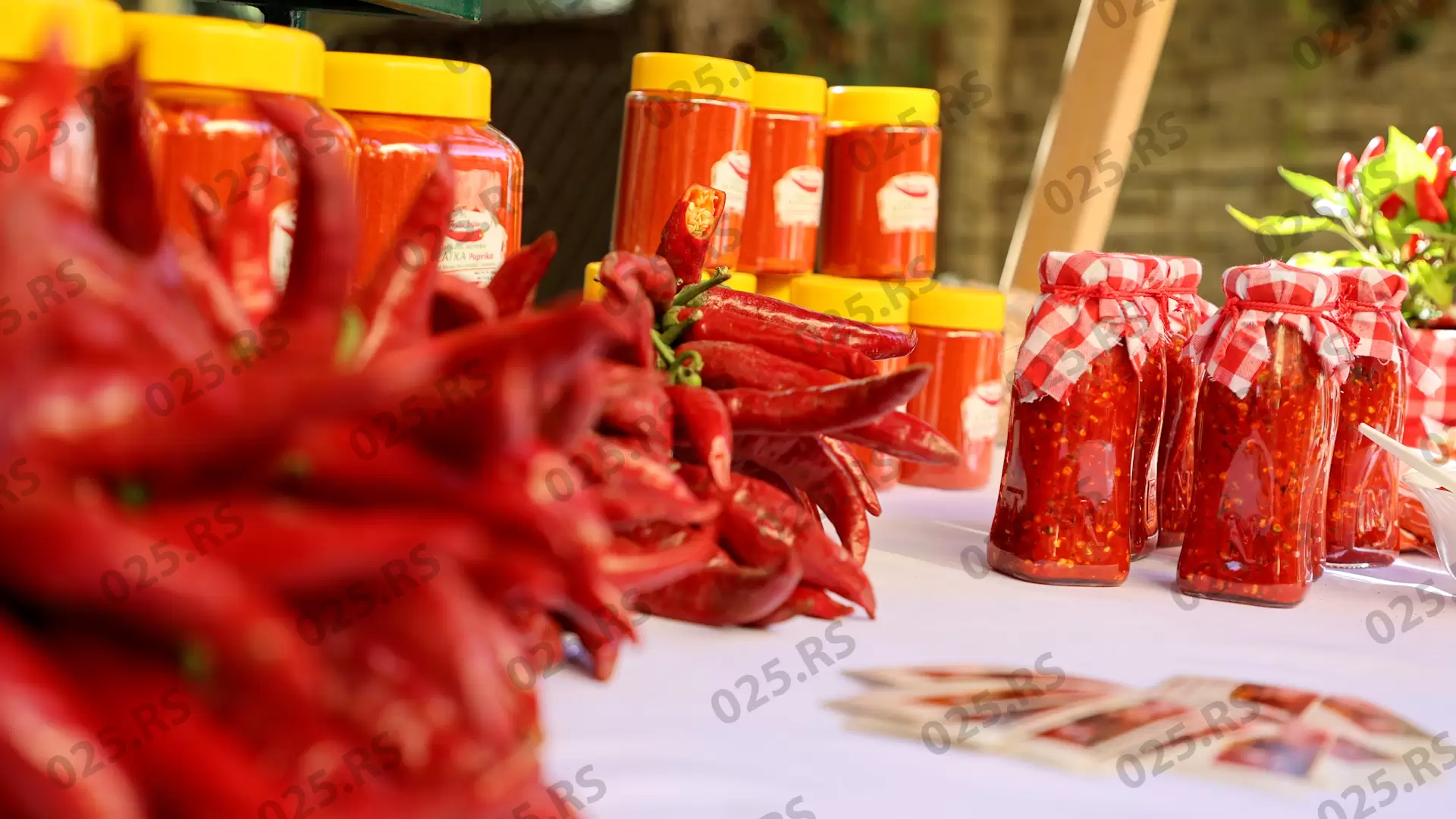  „Lemeš kulen fest“ okupio veliki broj posetilaca 2
