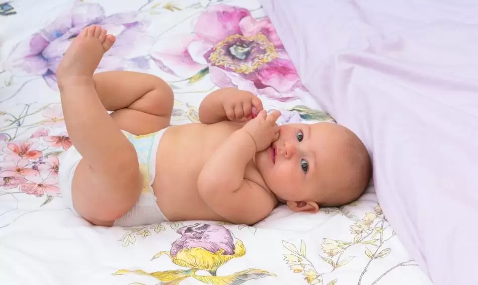 Beba