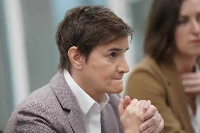 Brnabic