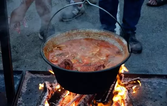 Negovanje tradicije ribarskog esnafa u Apatinu 2