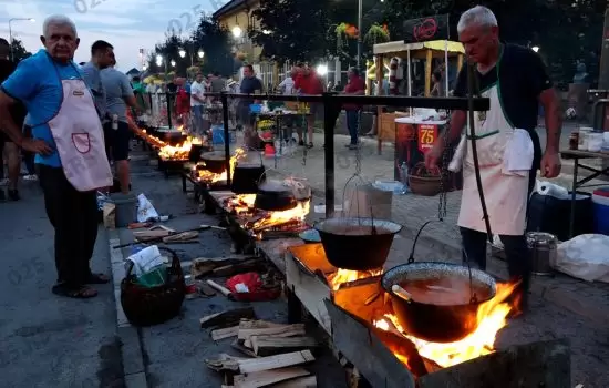 Negovanje tradicije ribarskog esnafa u Apatinu 5