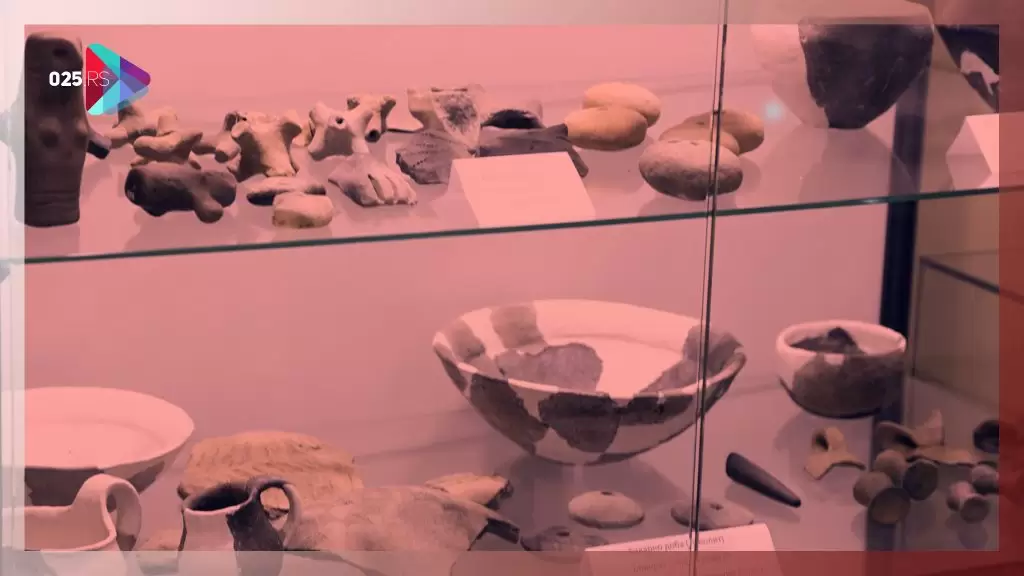 Muzejska jedinica Odžaci-čuvar istorijskog i arheološkog blaga ovih prostora 10