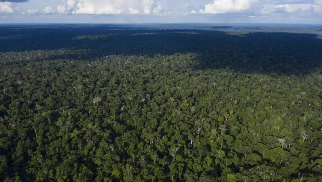 Amazonija