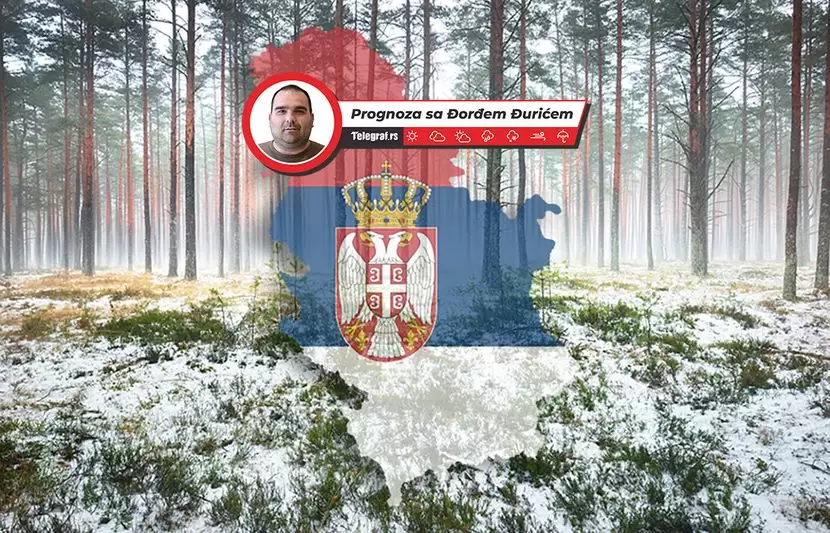 Prognoza