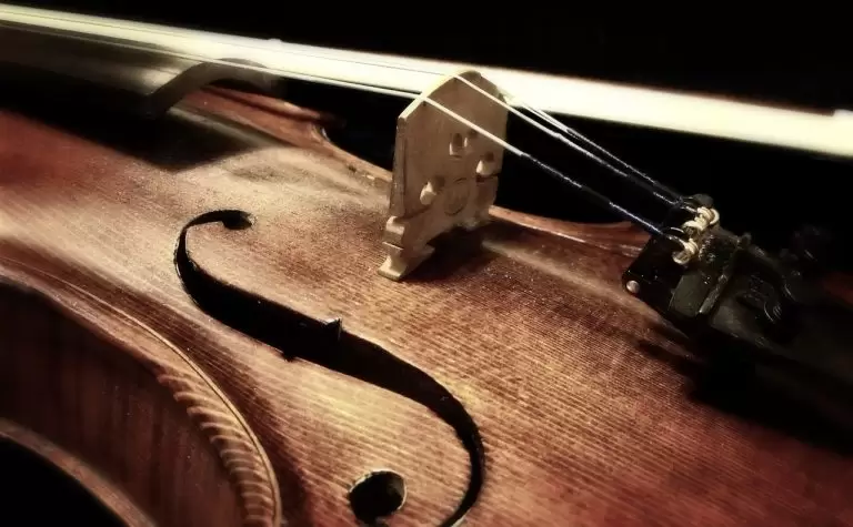 violina, vremeplov