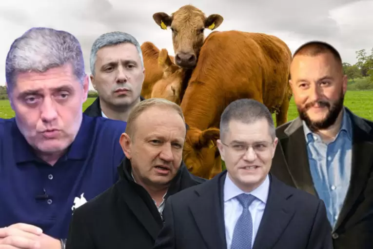 Miroljub Petrović