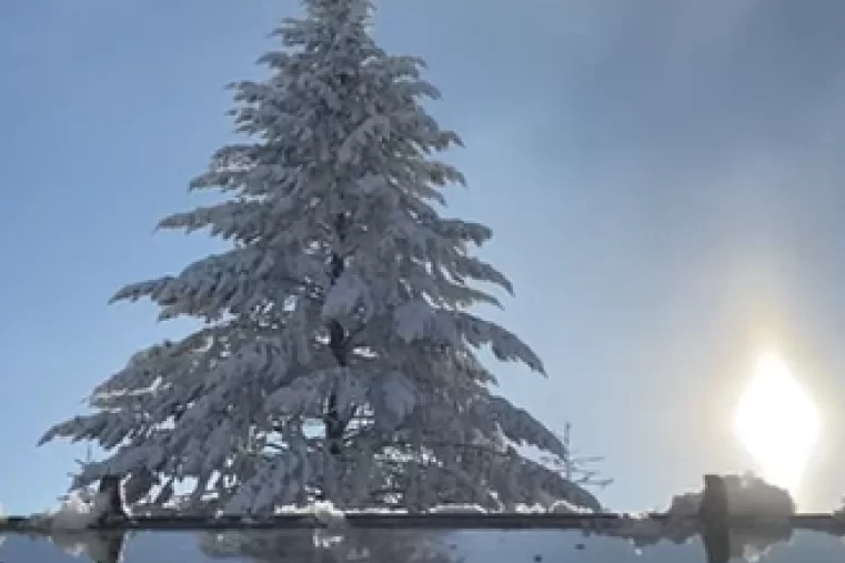 Zlatibor