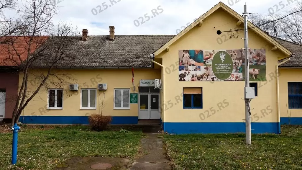 Nastavlja se akcija besplatnog čipovanja i vakcinacije vlasničkih pasa